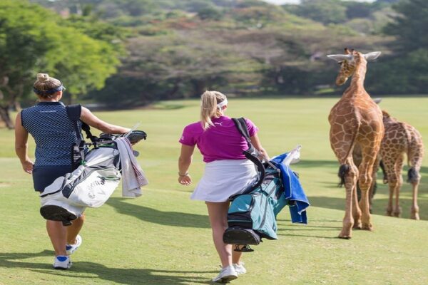 Vipingo Golf Club - Kenya Golf Tour